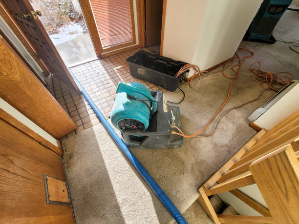 Best 24-hour water damage restoration  in La Grange, NC