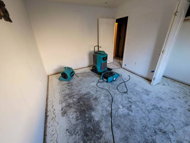 Best Local water damage restoration  in La Grange, NC