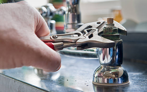 Best Flood damage cleanup  in La Grange, NC