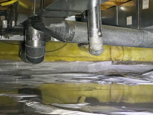 Best Ceiling water damage repair  in La Grange, NC