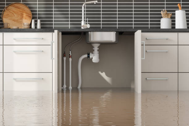 Best Water damage mitigation services  in La Grange, NC